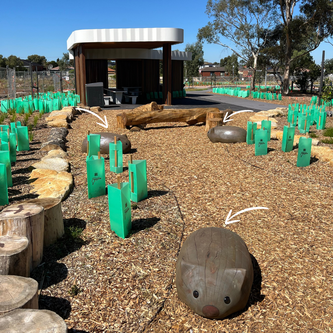 hand-crafted wombats at Willowbark Park