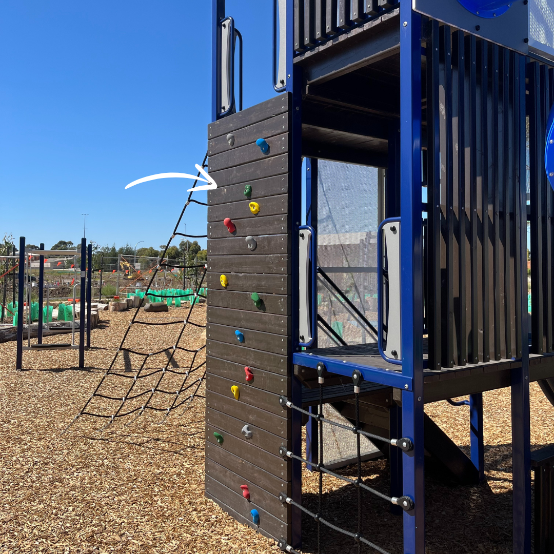 log scramble at Willowbark Park